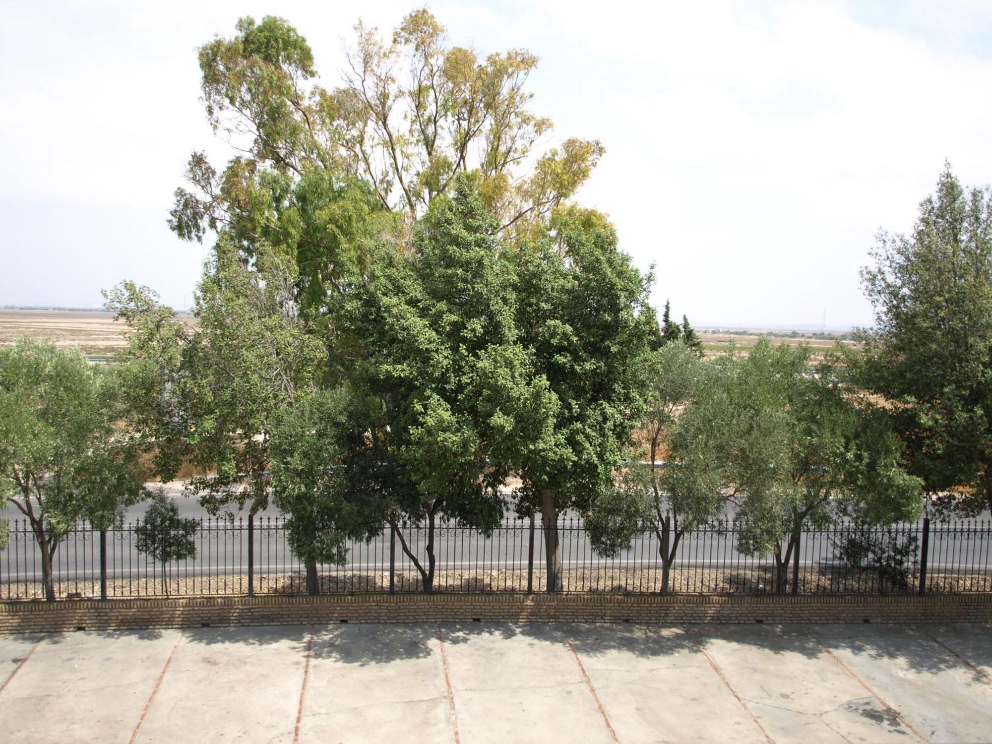 Hotel Caballo Negro Puerto Real Exterior photo